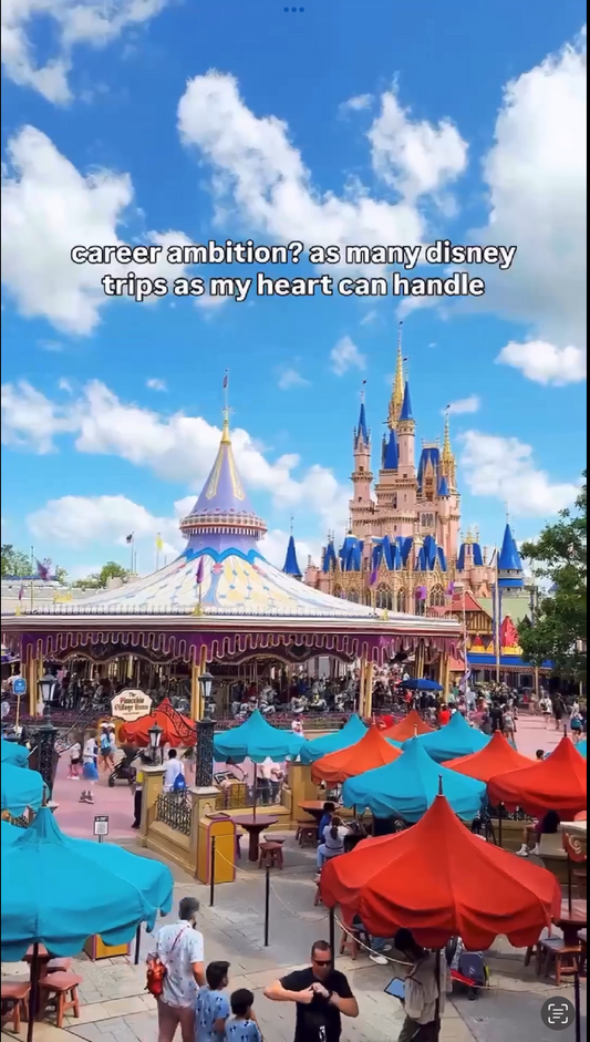Walt Disneyworld Stock B-Roll
