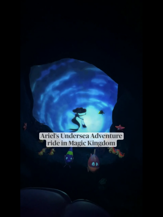 Magic Kingdom Stock B-Roll